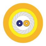 Derwiser Armored Fiber Patch Cord